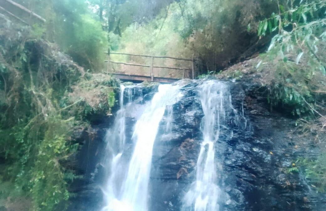 Campo Cufeo
