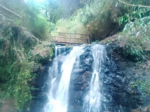 Campo Cufeo