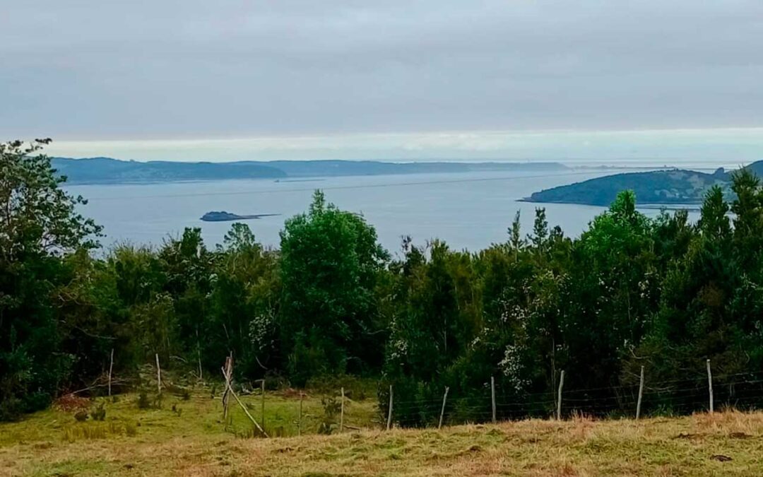 Espectacular Parcela en Chiloé con Vista al Mar