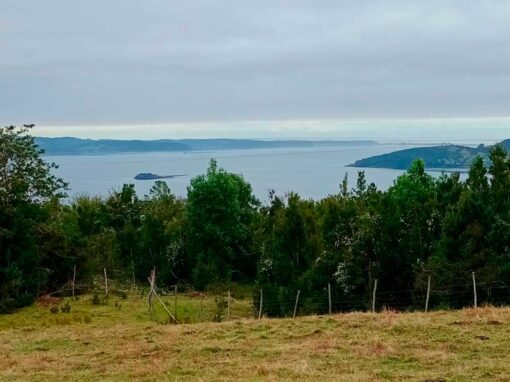 Espectacular Parcela en Chiloé con Vista al Mar